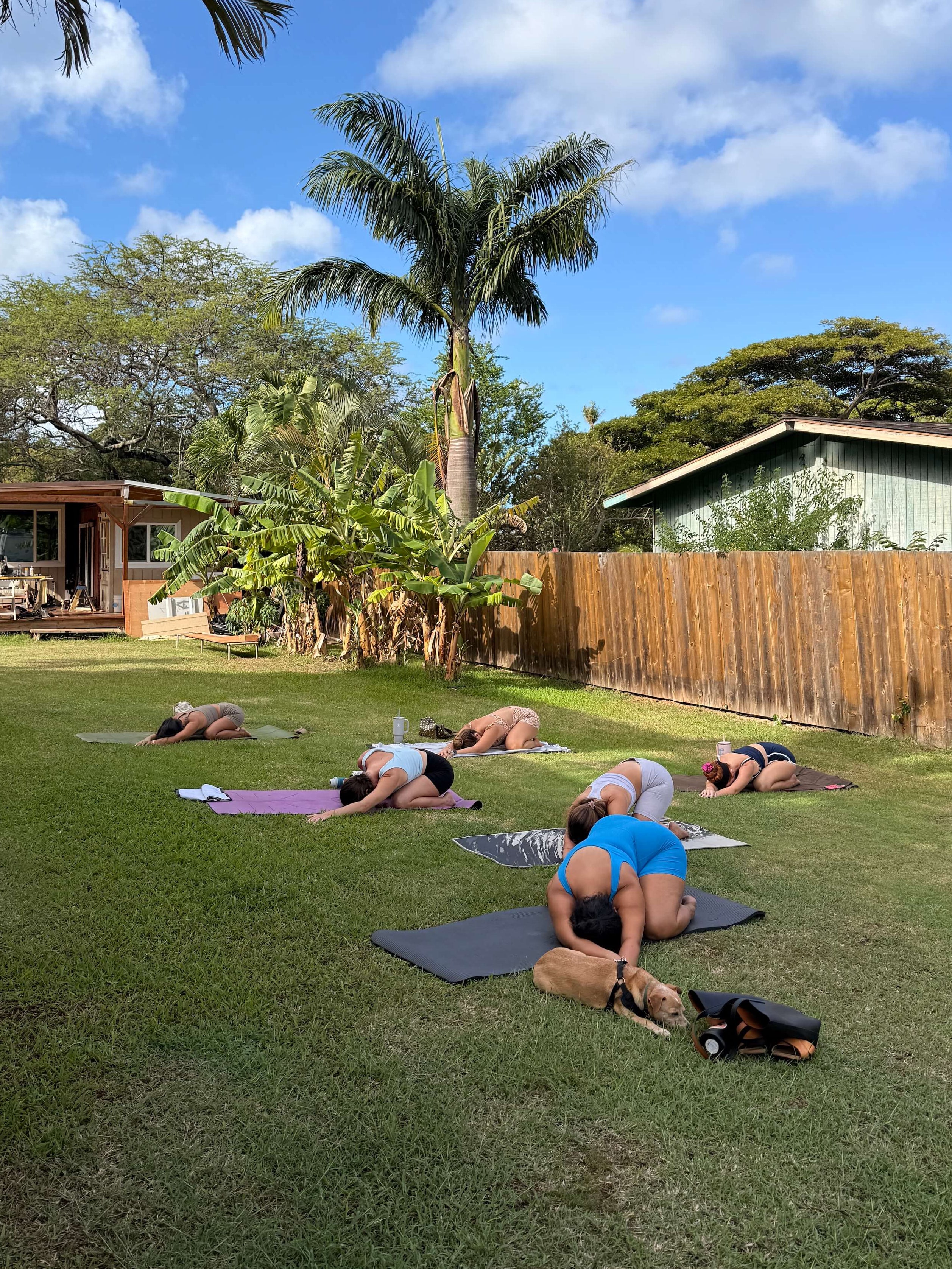Group of people practicing yoga outdoors on a grassy area with palm trees and a clear sky.