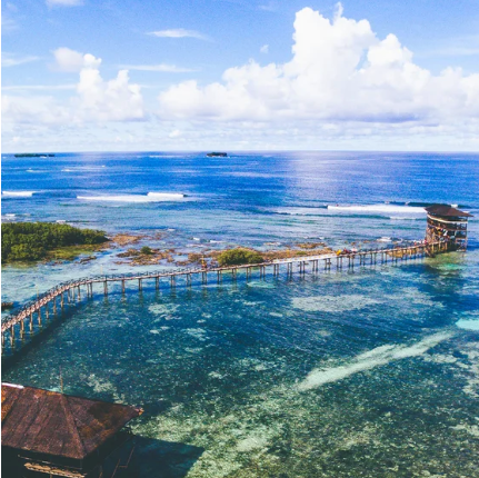 Siargao 2026 Surf + Flow Wellness Retreat - PRE-LAUNCH WAITLIST