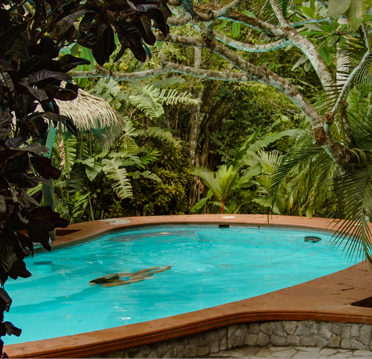 Costa Rica Retreat: Jungle Surf & Flow - June 2027