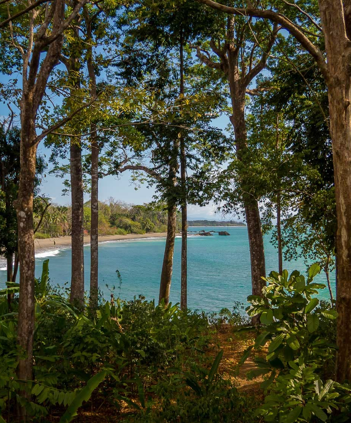 Costa Rica Retreat: Jungle Surf & Flow - June 2027