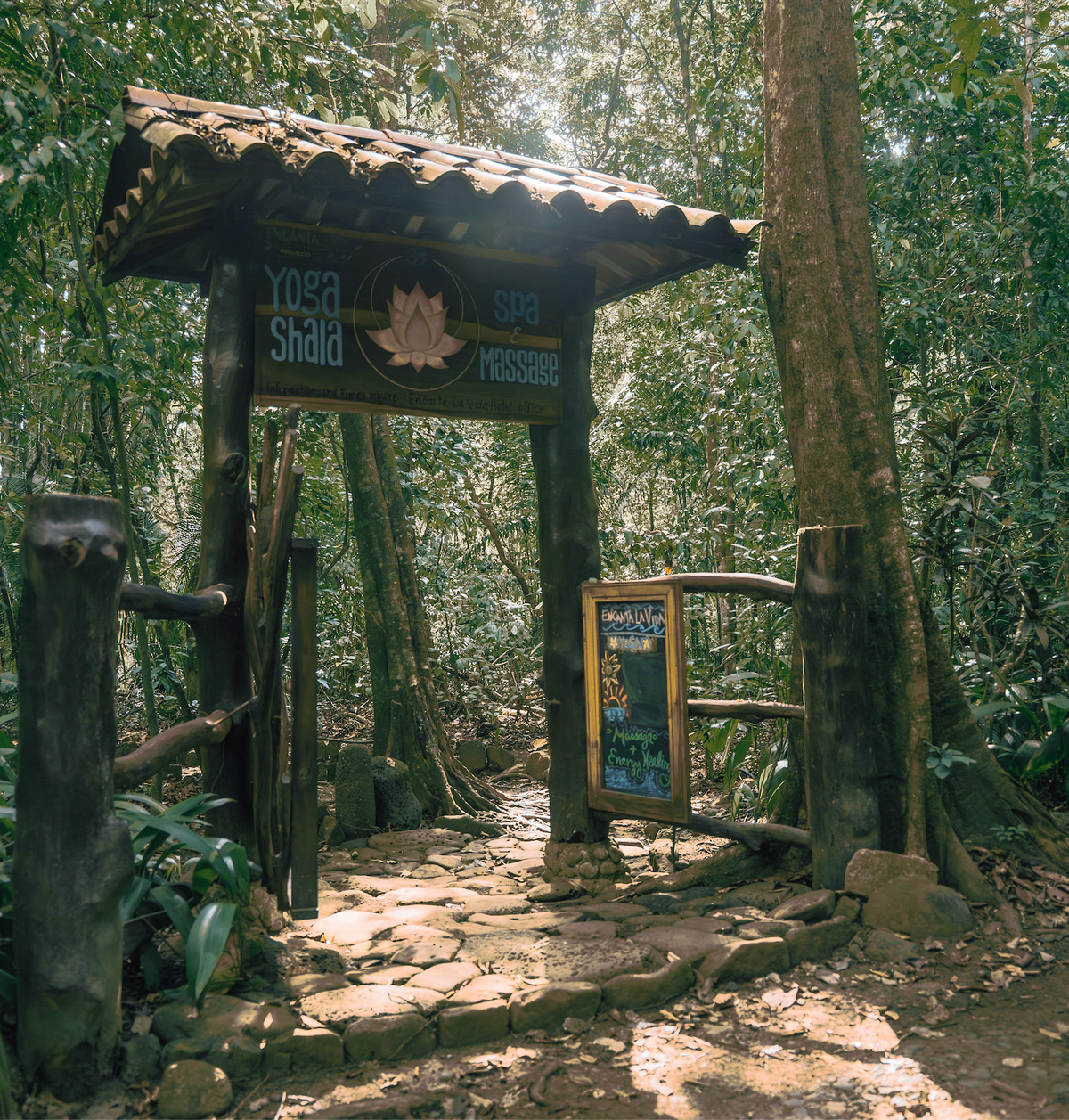 Costa Rica Retreat: Jungle Surf & Flow - June 2027