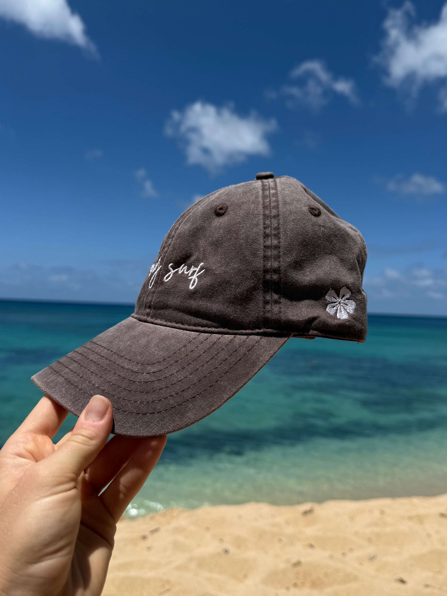Earthy Surf Brown Hat