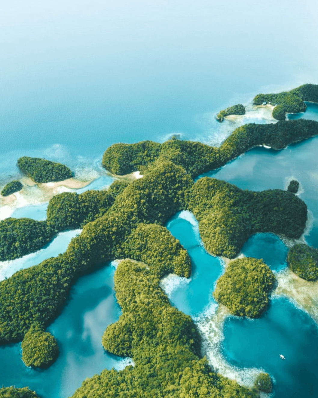 Siargao June 2026 Surf + Flow Wellness Retreat - EARLY ACCESS