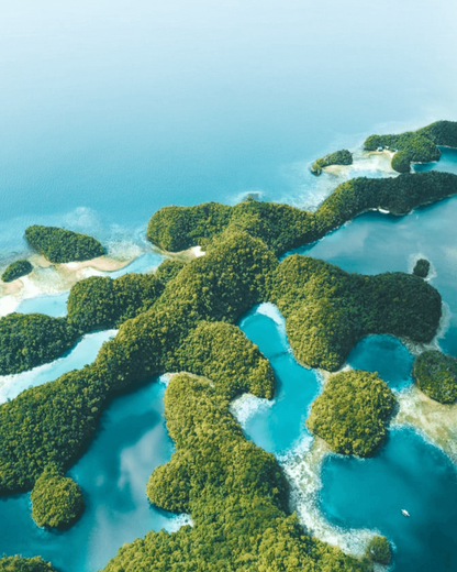 Siargao June 2026 Surf + Flow Wellness Retreat - EARLY ACCESS