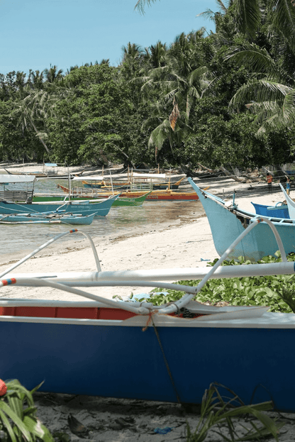 SIARGAO SURF + FLOW WOMEN&