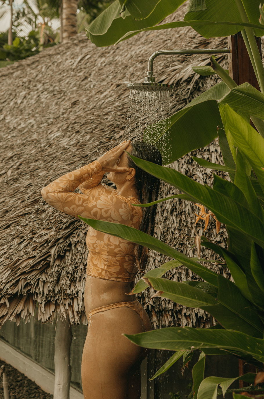 EVERYTHING SUNNY: New Collection Early Access